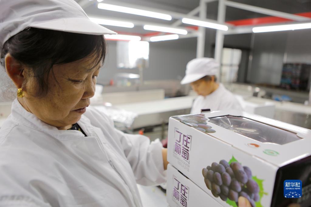 合乐888客户端登录